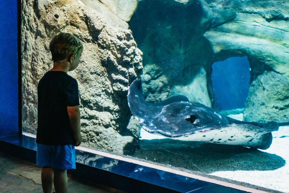 Lanzarote: Aquarium Entry Ticket - Tropical and freshwater rooms: axolotls, coral reefs, and color