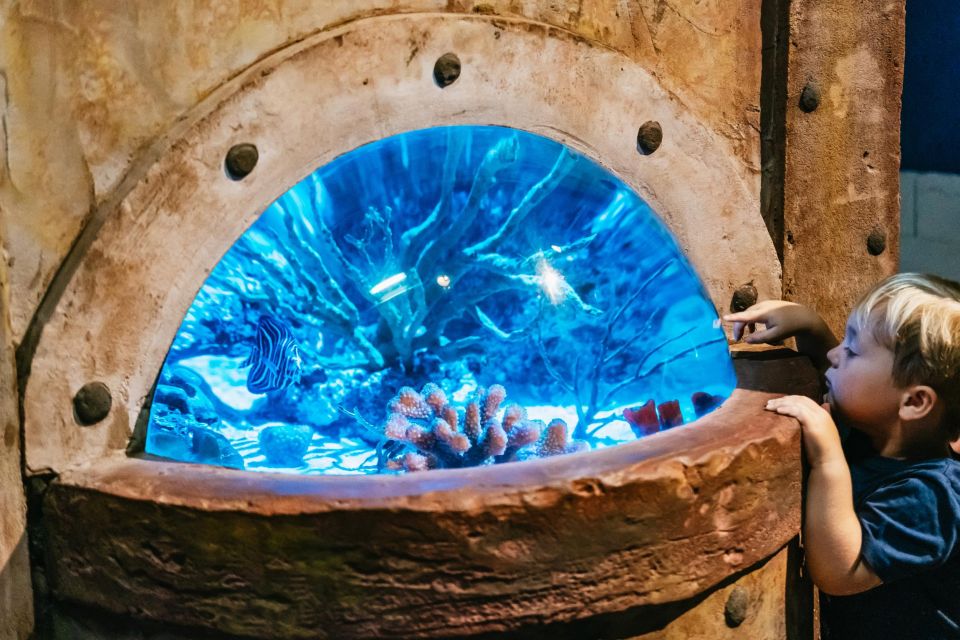 Lanzarote: Aquarium Entry Ticket - Open sea section: rays, guitarfish, and the larger species