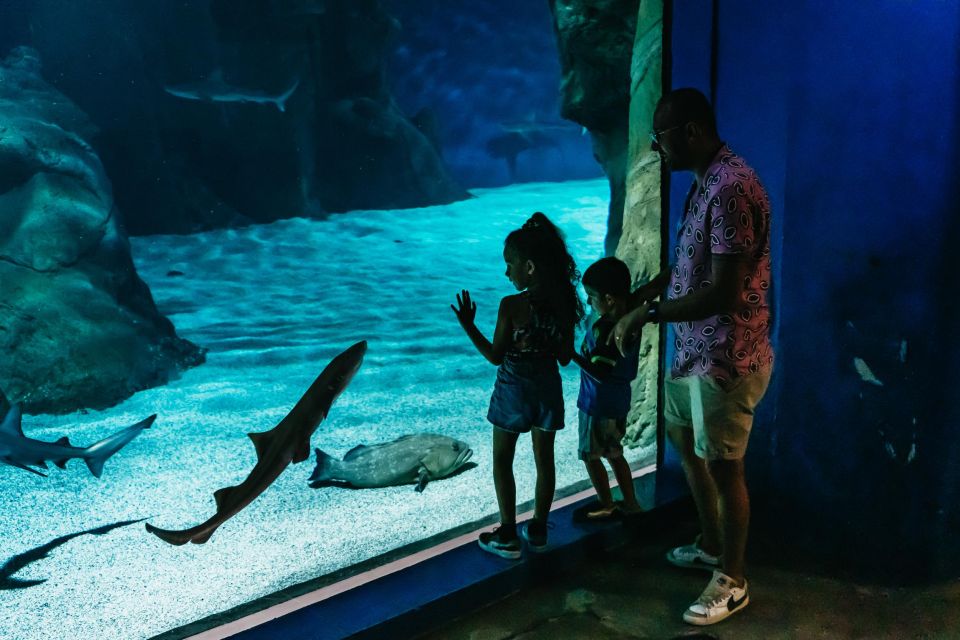 Lanzarote: Aquarium Entry Ticket - Turtle Rehabilitation Center: the visit’s meaning beyond viewing