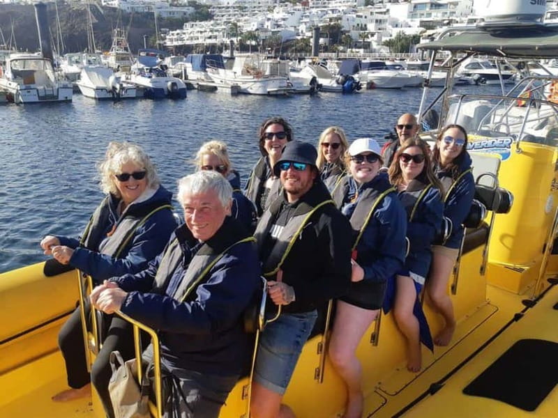 Lanzarote: Dolphin Watching by speedboat - Price and value: is $77 a fair deal?