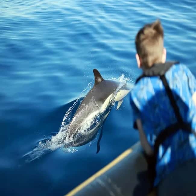 Lanzarote: Dolphin Watching by speedboat - What to wear and bring for a RIB speedboat ride