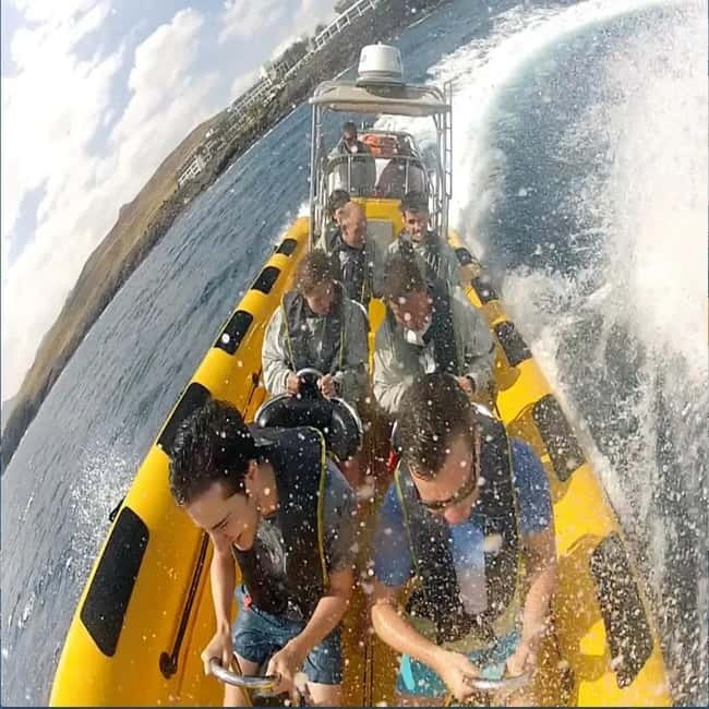 Lanzarote: Dolphin Watching by speedboat - Timing: morning vs evening can change the feel