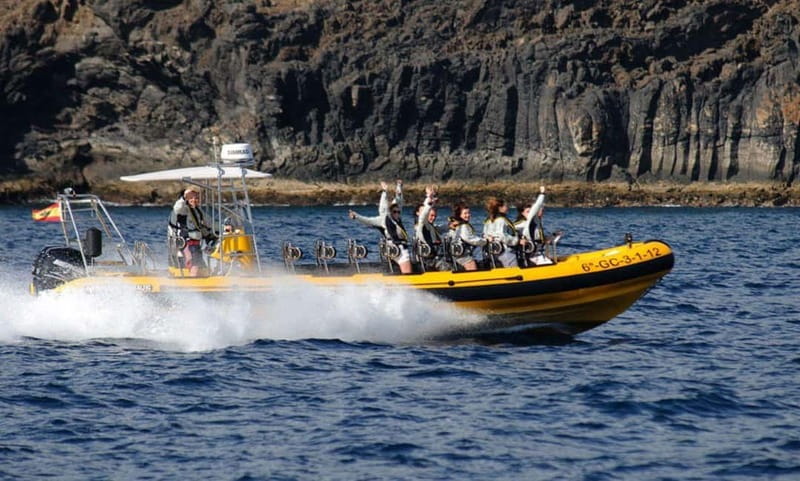 Lanzarote: Dolphin Watching by speedboat - Should you book this Lanzarote speedboat dolphin watching?