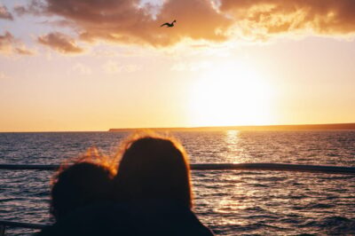 Lanzarote: Dolphin-Watching Sunset Cruise with Transfers - The dolphin hunt: how to maximize your chances (without stress)