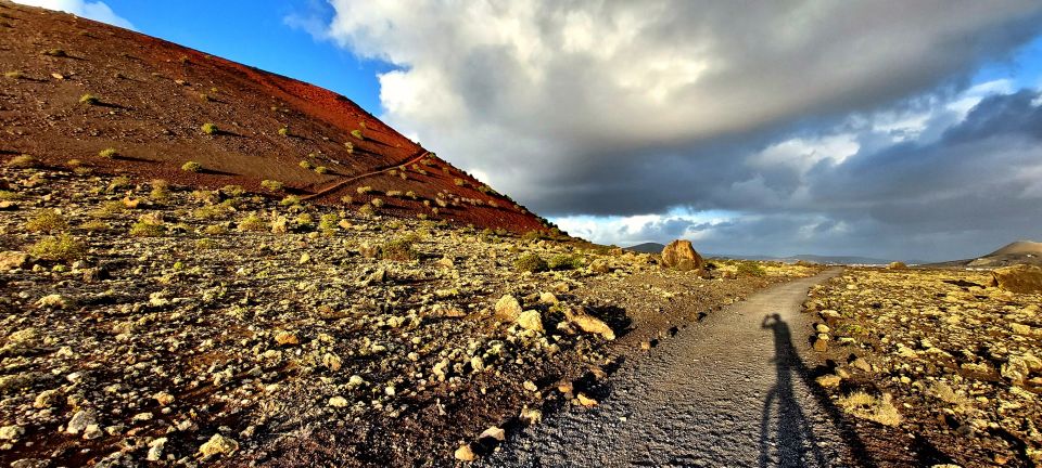 Lanzarote E-Bike Tour: Volcano Craters & Scenic Vineyards - La Geria Vineyards: Circular Pits in Volcanic Ash