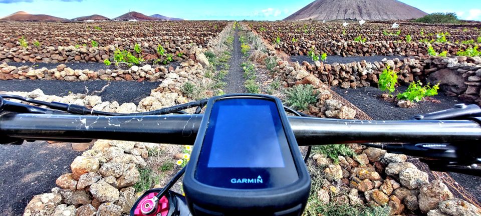 Lanzarote E-Bike Tour: Volcano Craters & Scenic Vineyards - Price and Value: Does $146 Make Sense for 4 Hours?