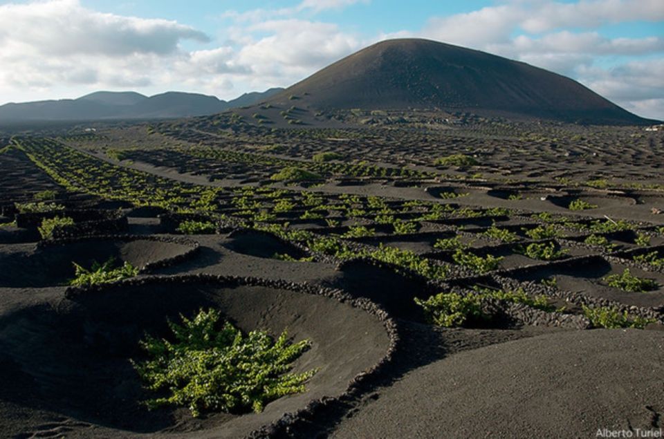 Lanzarote: Full Day Bus Tour with Scenic Views - Key points to know before you go