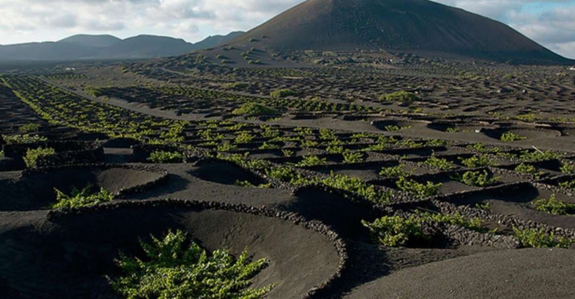 Lanzarote: Full Day Bus Tour with Scenic Views - Timanfaya National Park: Geothermal Activity and a Lunar Feel
