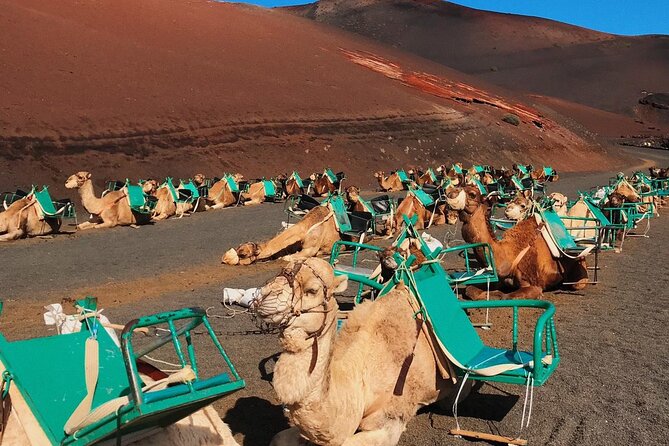 Lanzarote Grand Tour - Price and Logistics: the pickup reality behind a long-day tour
