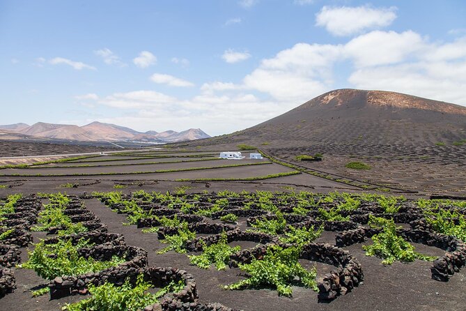 Lanzarote Grand Tour - Coach comfort, group size, and where to sit for fewer problems