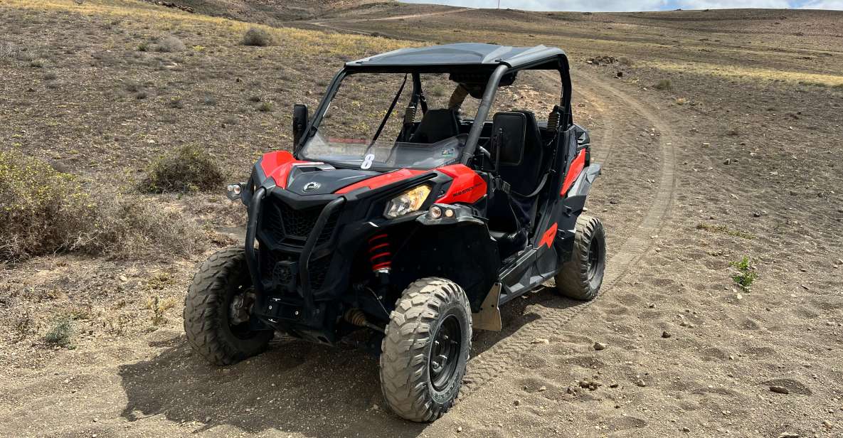 Lanzarote: Guided Can-Am Trail Buggy Tour - Key highlights before you go