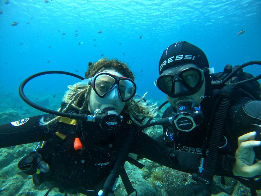 Lanzarote: Intro to Diving Experience for Beginners - Key Highlights Worth Booking