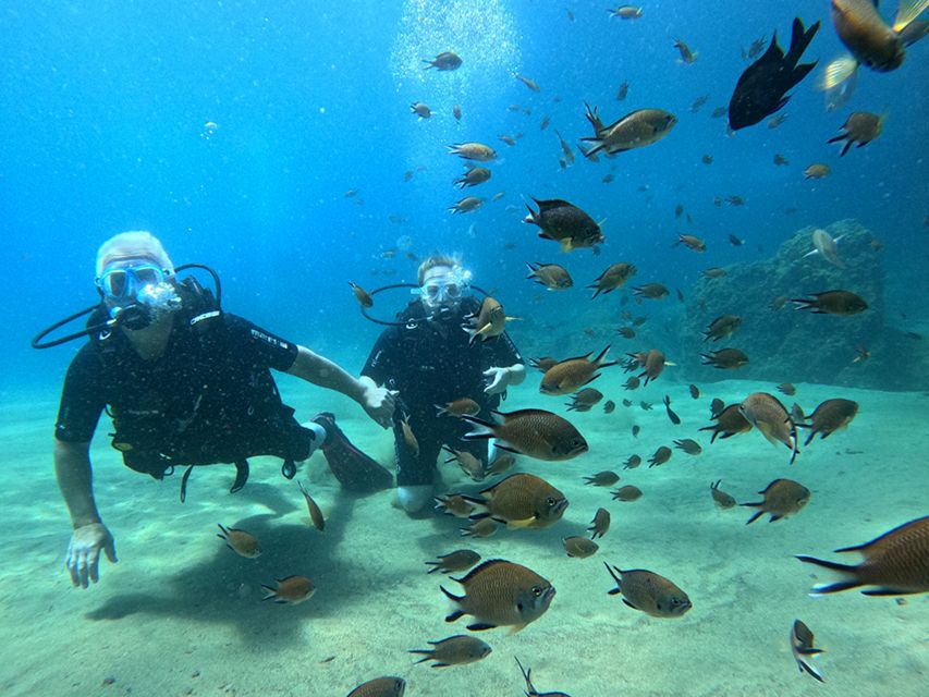 Lanzarote: Intro to Diving Experience for Beginners - Who Should Book This Starter Scuba Experience (and Who Should Skip)