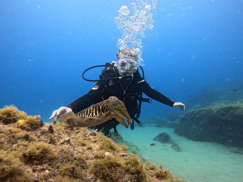 Lanzarote: Intro to Diving Experience for Beginners - What Happens Before You Go In: Gear Fit, Breathing, and Signals
