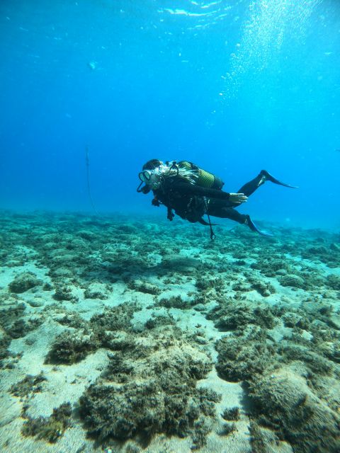 Lanzarote: Intro to Diving Experience for Beginners - Small Groups, Real Attention: Why 4 People Changes Everything