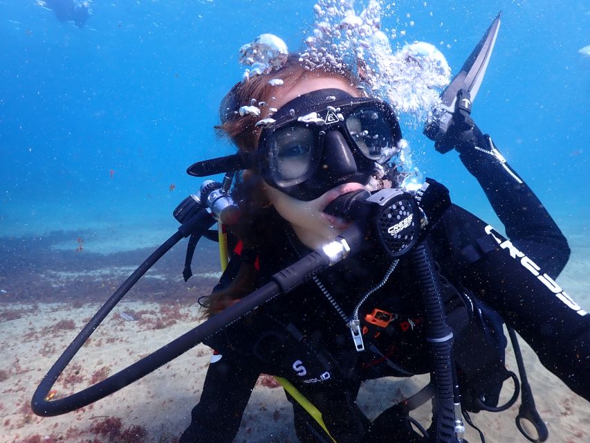 Lanzarote: Intro to Diving Experience for Beginners - Languages and Instructor Style: What You’ll Feel in the Briefing