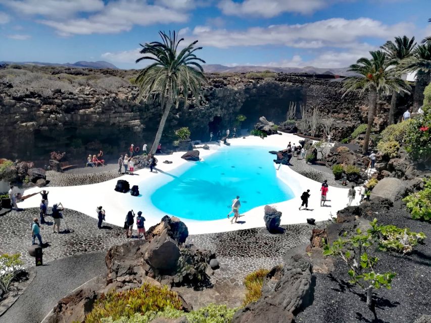 Lanzarote: Jameos del Agua & North Island for Cruise Guests - Key highlights at a glance
