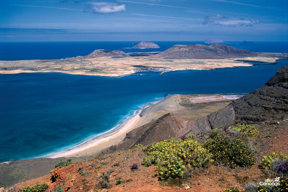 Lanzarote: Jameos del Agua & North Island for Cruise Guests - Who Should Book This Excursion