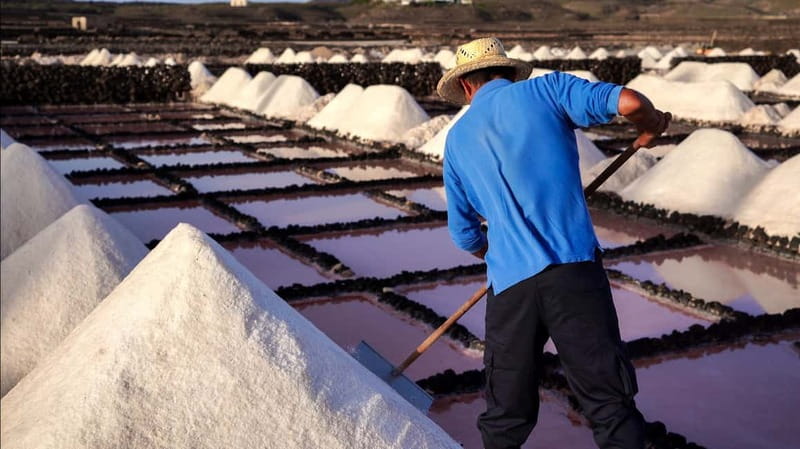 Lanzarote: Janubio Salt Flats Guided Tour - The flavor tasting: flor de sal with personality