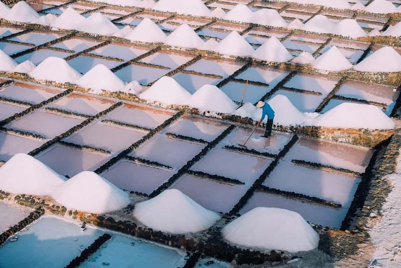 Lanzarote: Janubio Salt Flats Guided Tour - Who will enjoy this tour most (and who might not)