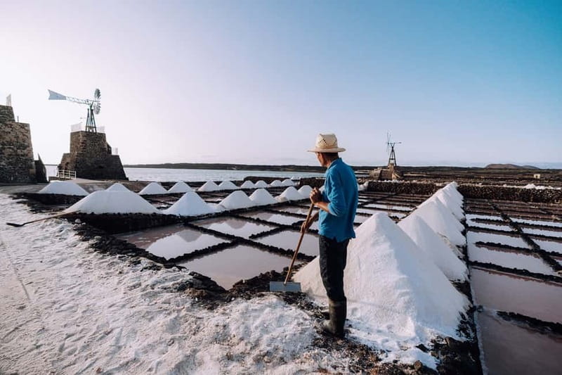 Lanzarote: Janubio Salt Flats Guided Tour - Practical tips for a January visit to Janubio