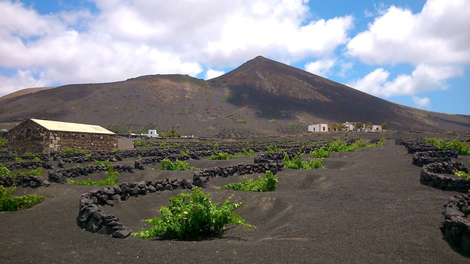 Lanzarote: La Geria Vineyards Hiking Tour - Key highlights you should actually care about