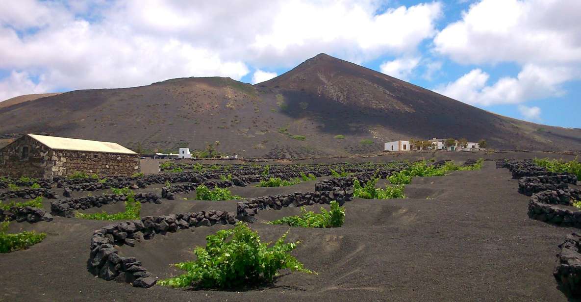 Lanzarote: La Geria Vineyards Hiking Tour - Who this Lanzarote hiking-and-wine tour fits best