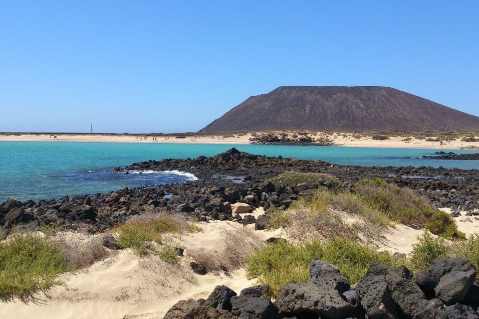 Lanzarote: Lobos Island Half-Day Dolphin Watching Trip - Who This Trip Suits (and Who Might Skip It)