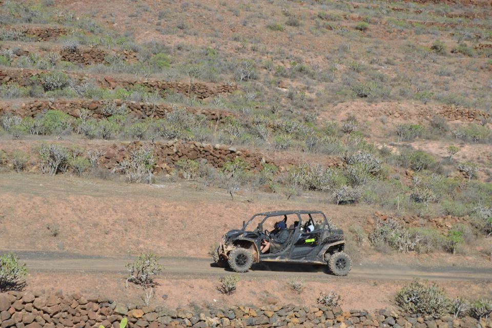 Lanzarote: Mix tour Guided Buggy Volcano Tour 4 or 6 seater - Group size, driver changes, and who the ride is really for