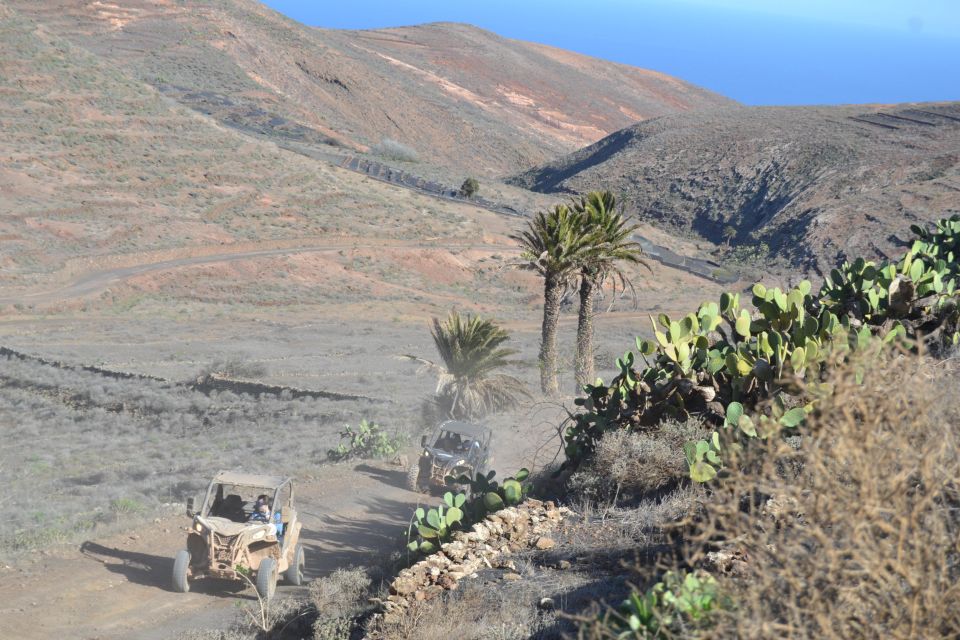 Lanzarote: Mix tour Guided Buggy Volcano Tour 4 or 6 seater - What to bring (and what to avoid) so the day stays fun