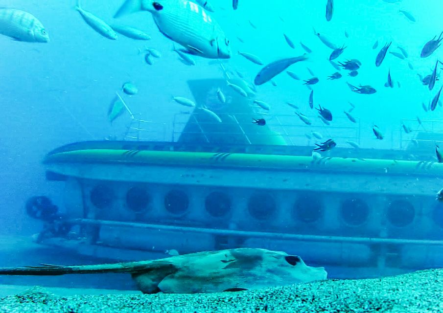 Lanzarote: Real Submarine Dive - The audio guide in 9 languages is part of the value