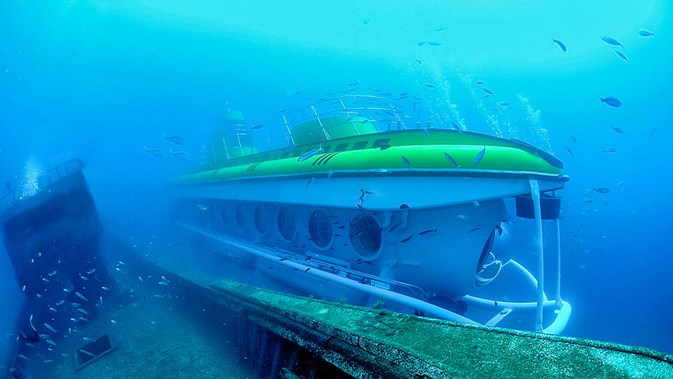 Lanzarote: Real Submarine Dive - The practical extras: fish chart, certificate, and marina time