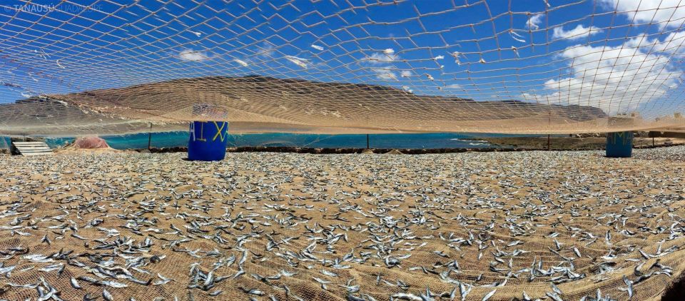 Lanzarote: Return Ferry to La Graciosa with Bus Pickup - On-Time Matters: Fixed Ferry Times and a Stress-Lite Day