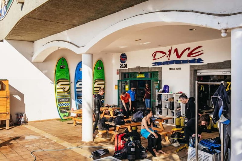 Lanzarote: Scuba Dive at Museo Atlántico for Beginners - Key highlights worth planning for