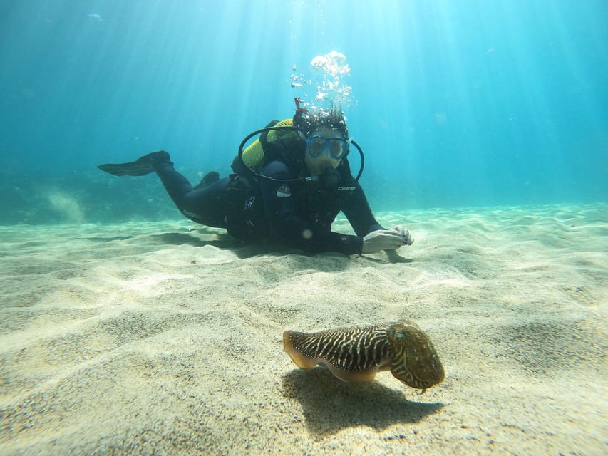Lanzarote: Scuba Diving for Beginners with 2 Dives - FAQ