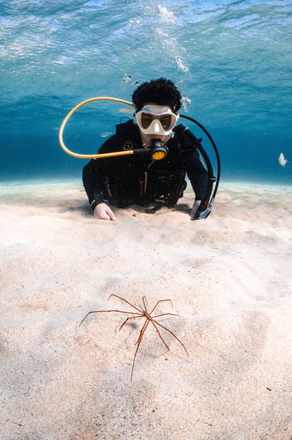 Lanzarote: Scuba Diving for Beginners with 2 Dives - Second Ocean Session to 12 Meters: Seeing More, Keeping It Controlled