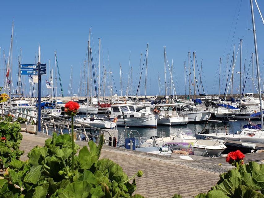 Lanzarote: Sea Safari Experience - Volcanic cliffs, dormant volcano shapes, and the views you don’t get from shore