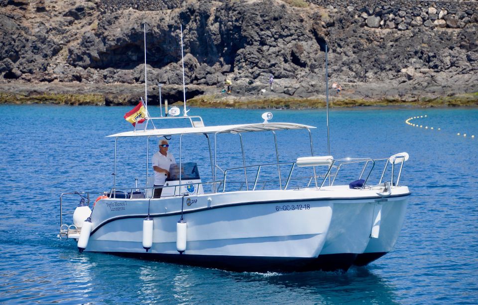Lanzarote: Sea Safari Experience - Price and value: is $71 a fair deal for Lanzarote marine life?
