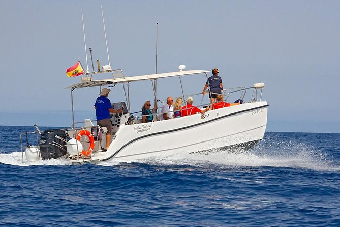 Lanzarote Sea Safari from Puerto calero - Guides and Crew: Small-Group Atmosphere That Feels Human