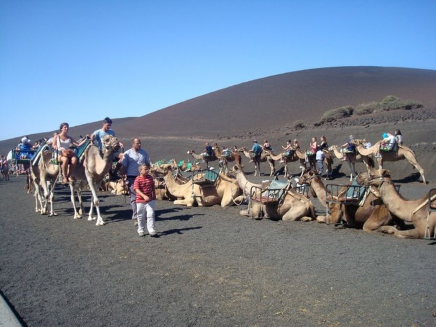 Lanzarote: Timanfaya National Park Tour - Timanfaya by Coach: Why This Format Works in Real Life