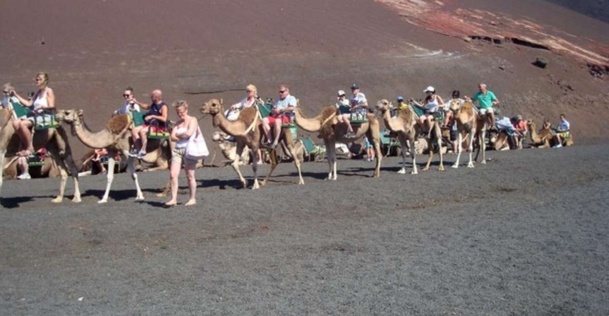 Lanzarote: Timanfaya National Park Tour - Geothermal Magic: What You’ll Learn at Timanfaya’s Heat Points