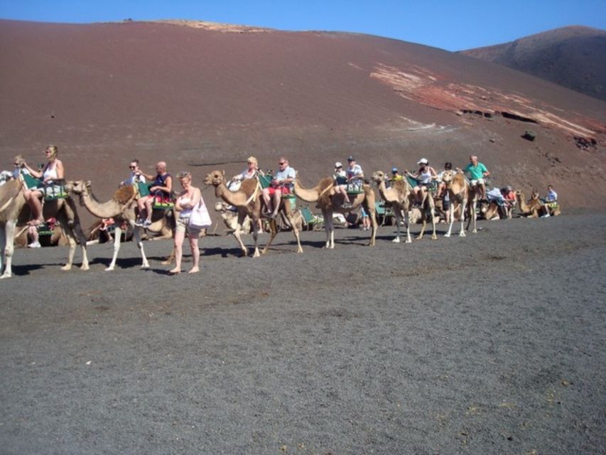 Lanzarote: Timanfaya National Park Tour - Price and Value: What $67 Buys You in Timanfaya