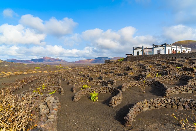 Lanzarote Volcano and Wine Region Tour from Fuerteventura - Timanfaya National Park: what the included coach time gets you