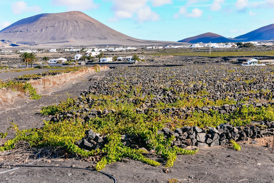 Lanzarote: Volcanos of Timanfaya and Caves Tour with Lunch - FAQ