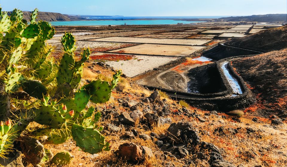 Lanzarote: Volcanos of Timanfaya and Caves Tour with Lunch - Why Timanfaya’s Volcano Route Feels Like Another Planet