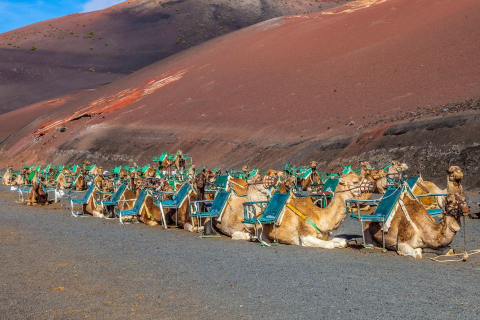 Lanzarote: Volcanos of Timanfaya and Caves Tour with Lunch - The Real-World Timing: What You Do Inside Timanfaya vs From the Coach