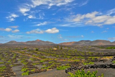 Lanzarote: Volcanos of Timanfaya and Caves Tour with Lunch - South-to-North Highlights: El Golfo and La Geria in One Day