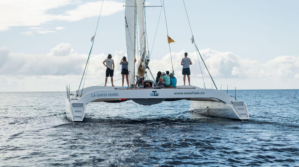 Lanzarote: Whale and Dolphin Watching Eco-Friendly Catamaran - Hydrophone moment: turning silence into a listening experience