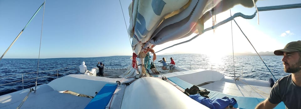 Lanzarote: Whale and Dolphin Watching Eco-Friendly Catamaran - Snacks, drinks, and coastline views you’ll actually remember