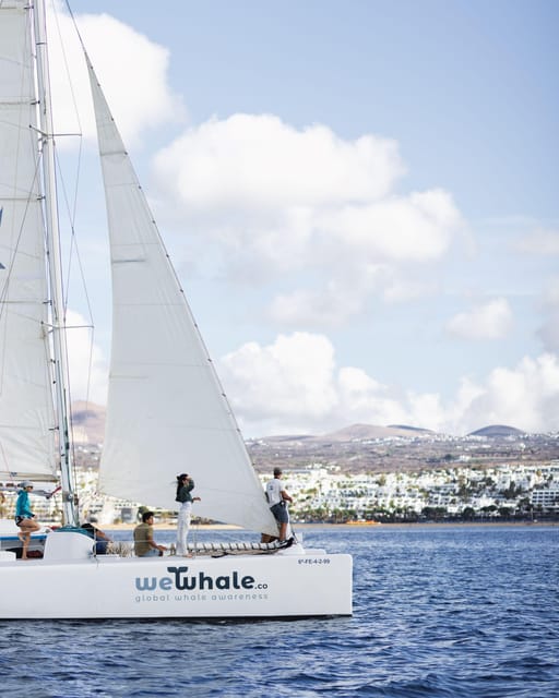 Lanzarote: Whale and Dolphin Watching Eco-Friendly Catamaran - When to go: setting your expectations for sightings